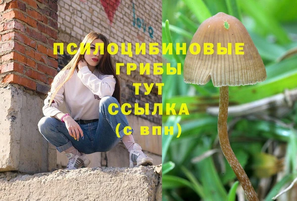 скорость mdpv Горняк
