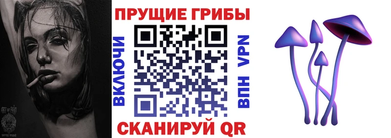 Галлюциногенные грибы GOLDEN TEACHER  ссылка на мегу зеркало  Михайловка 